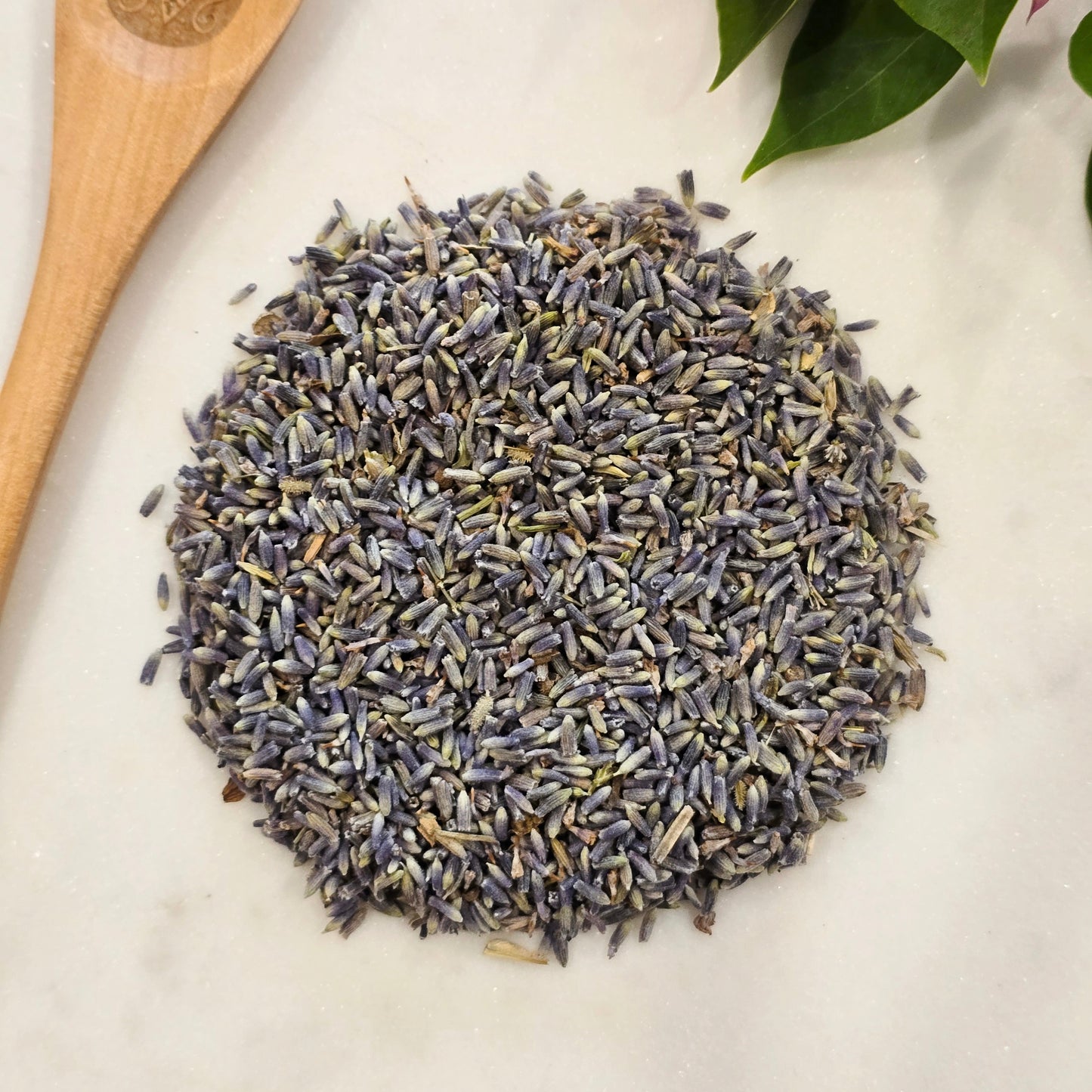 Lavender – Organic, Whole Flower