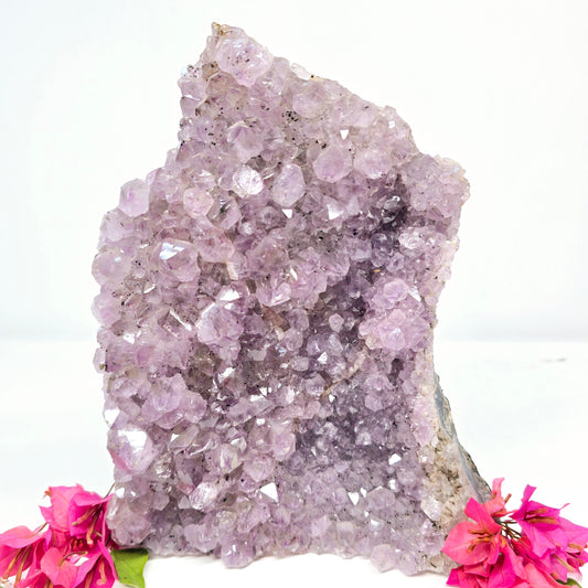 Amethyst Druzy Crystal Cluster X