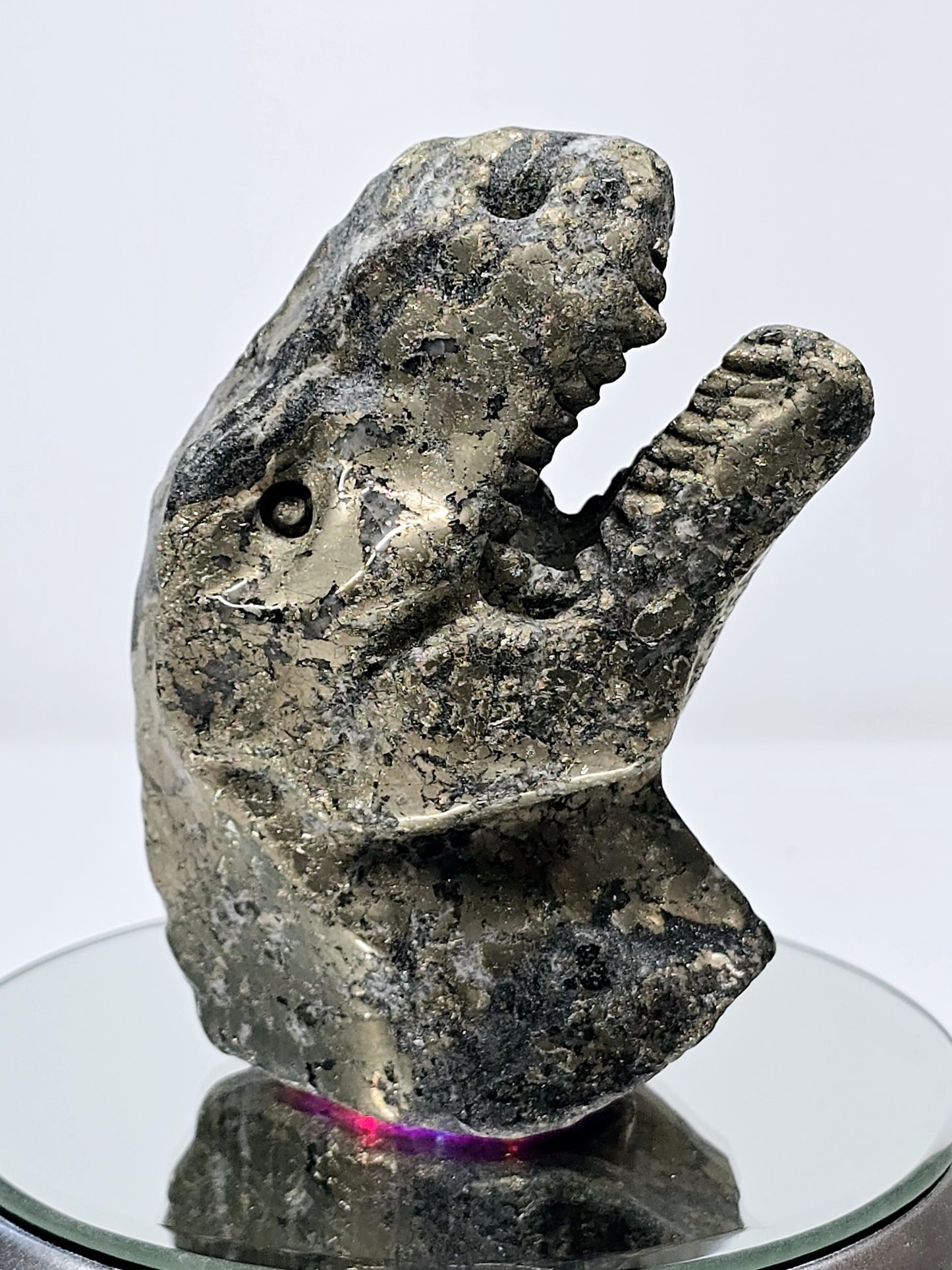 Pyrite T-Rex Dinosaur Head | Fool's Gold