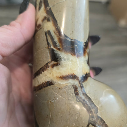 8" Septarian Jasper Penis | Natural Crystal Carved & Polished Wizard Staff | Dragon Stone | Metaphysical Witchy Home Decor Gift