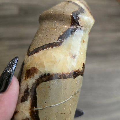 8" Septarian Jasper Penis | Natural Crystal Carved & Polished Wizard Staff | Dragon Stone | Metaphysical Witchy Home Decor Gift