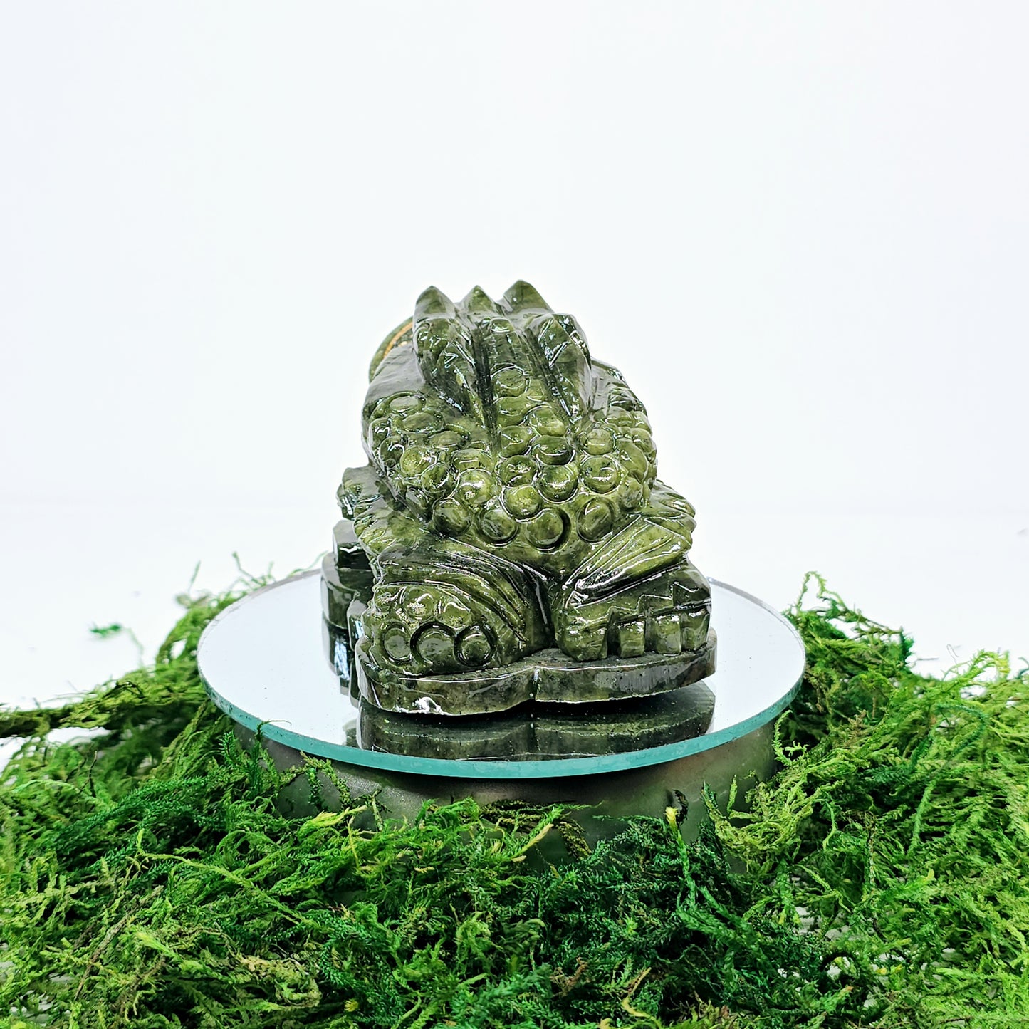 1.4lb Jade Money Toad Frog | Natural Crystal Carved & Polished Stone