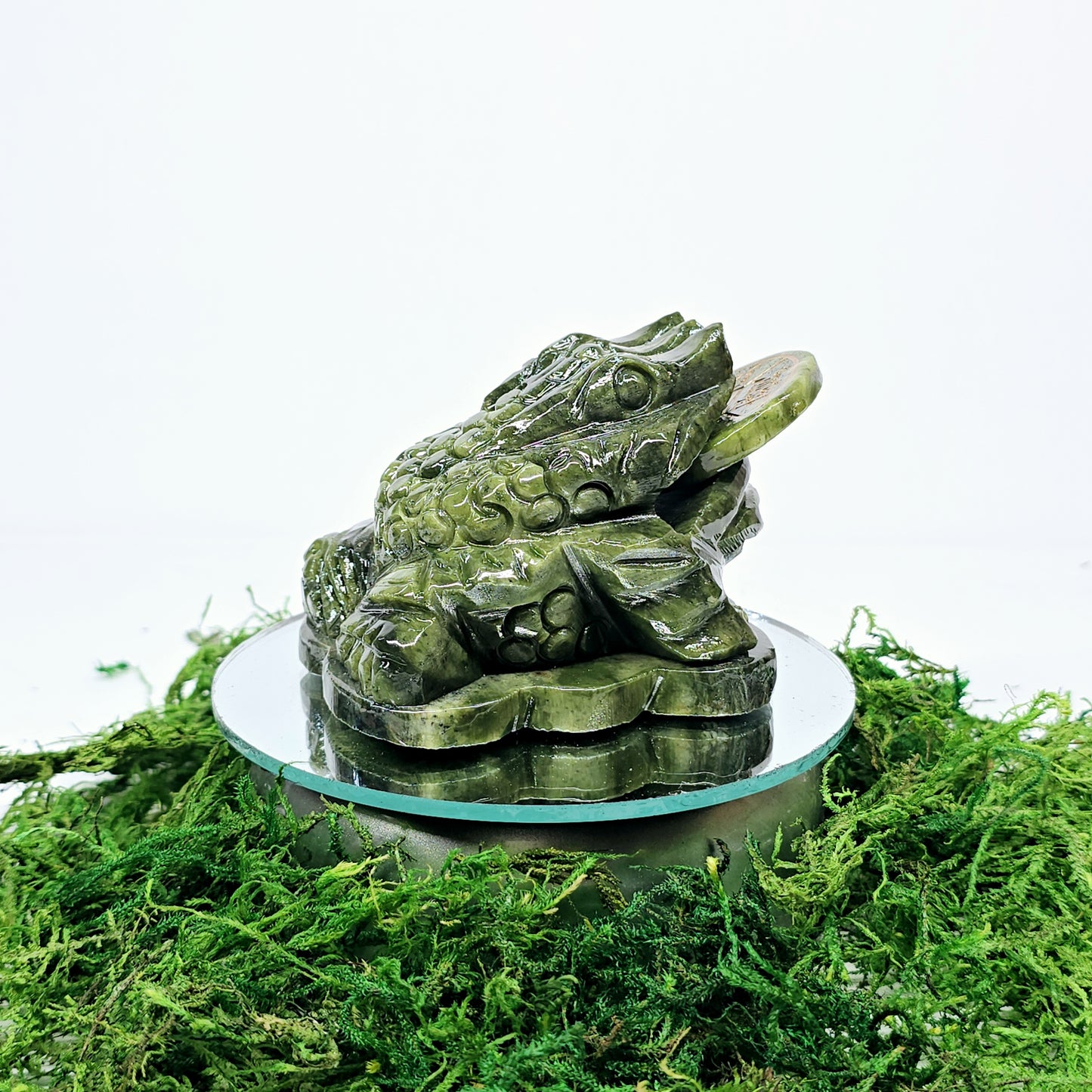 1.4lb Jade Money Toad Frog | Natural Crystal Carved & Polished Stone