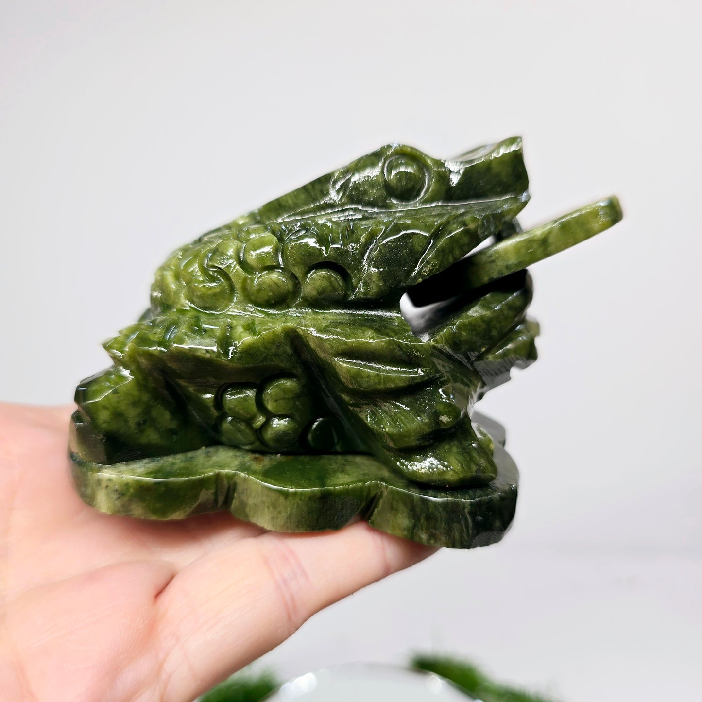 1.4lb Jade Money Toad Frog | Natural Crystal Carved & Polished Stone