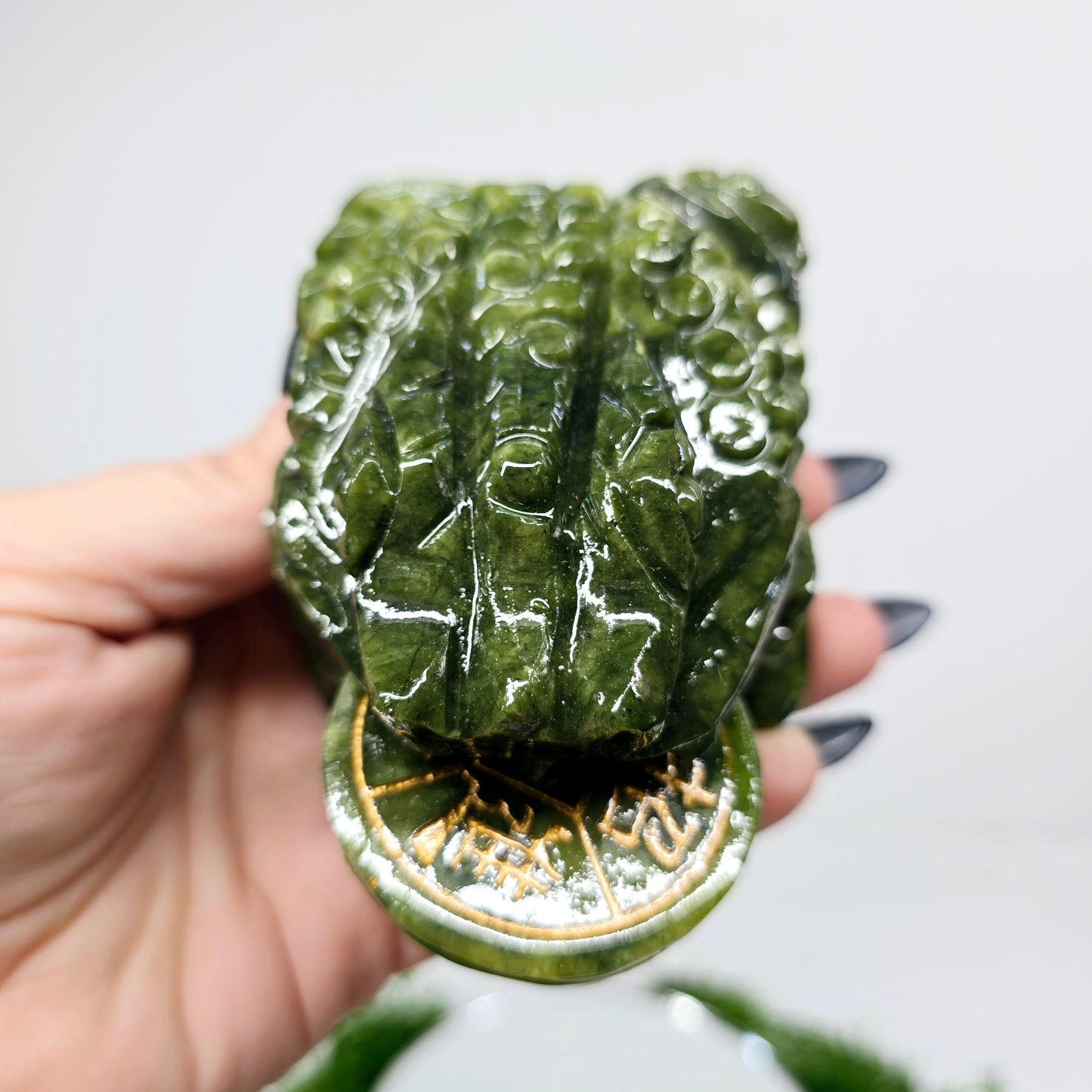 1.4lb Jade Money Toad Frog | Natural Crystal Carved & Polished Stone