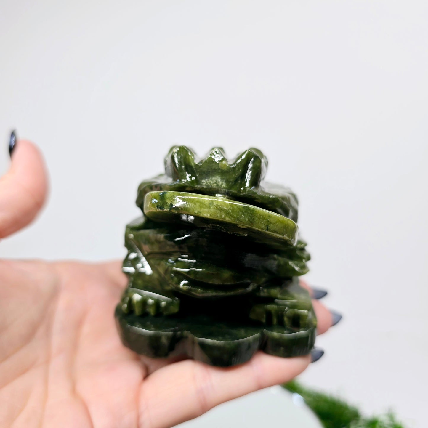 1.4lb Jade Money Toad Frog | Natural Crystal Carved & Polished Stone