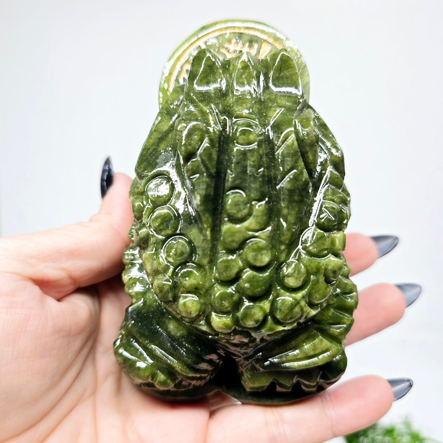 1.4lb Jade Money Toad Frog | Natural Crystal Carved & Polished Stone