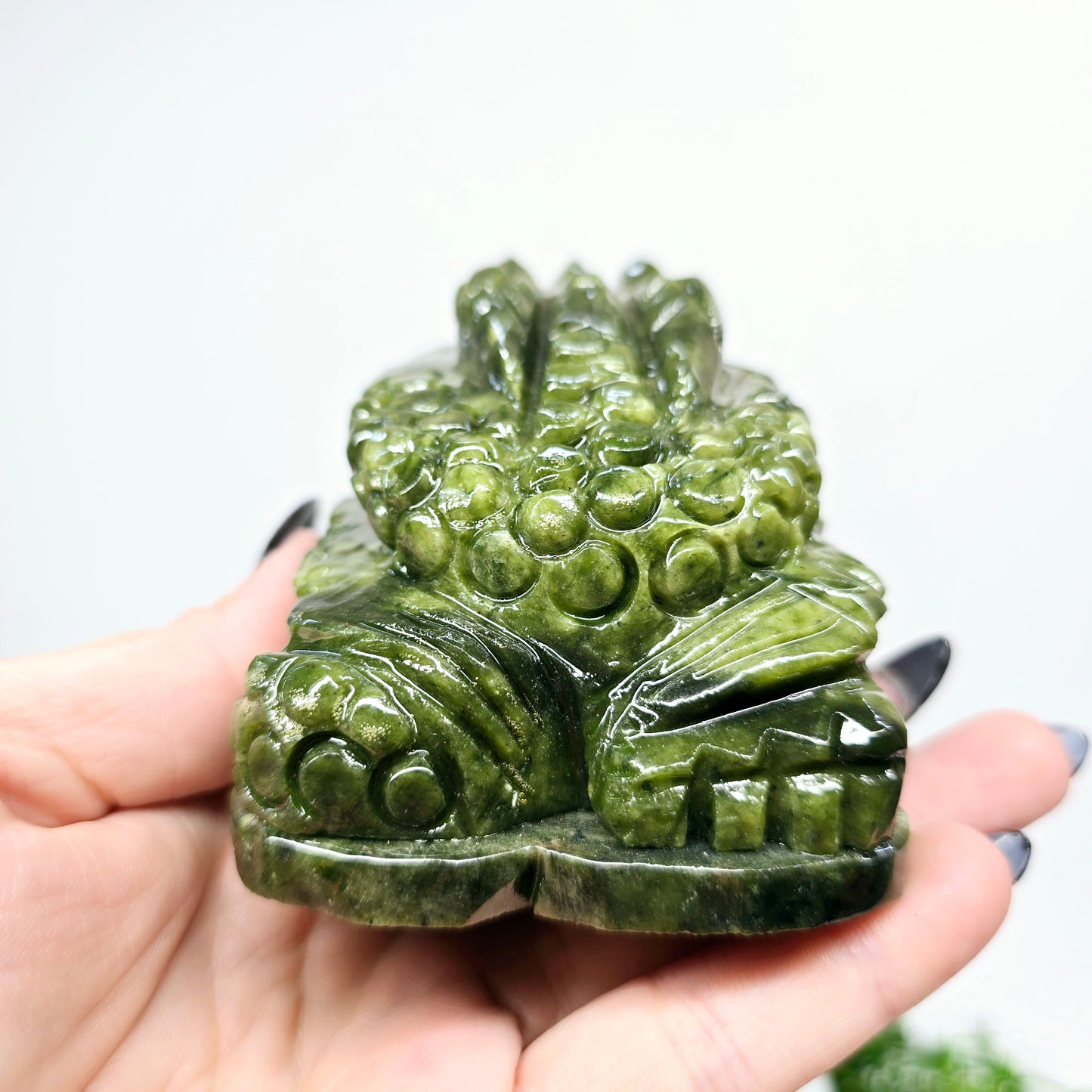 1.4lb Jade Money Toad Frog | Natural Crystal Carved & Polished Stone