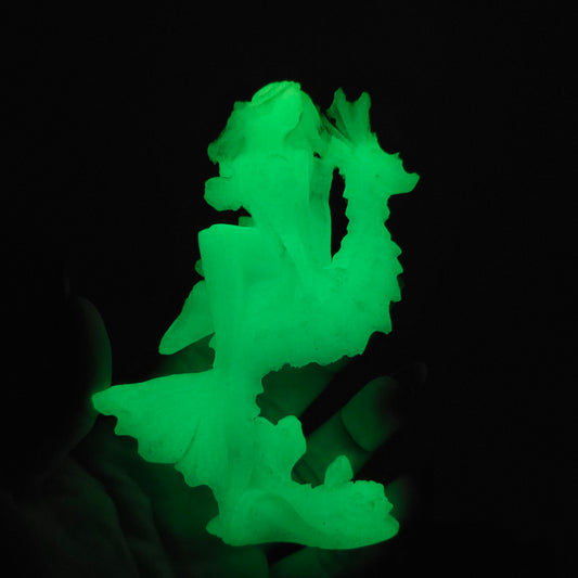 5"H Luminous Glow-in-the-Dark Mermaid & Seahorse | Unique Sea Green Home Figurine Decor Gift