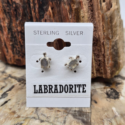 Crystal Cut Sterling Silver Turtle Stud Earrings