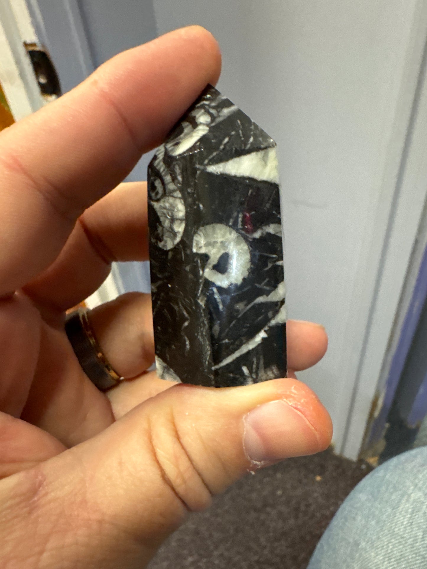 1000 Eye Jasper