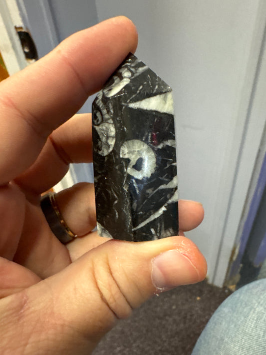 1000 Eye Jasper
