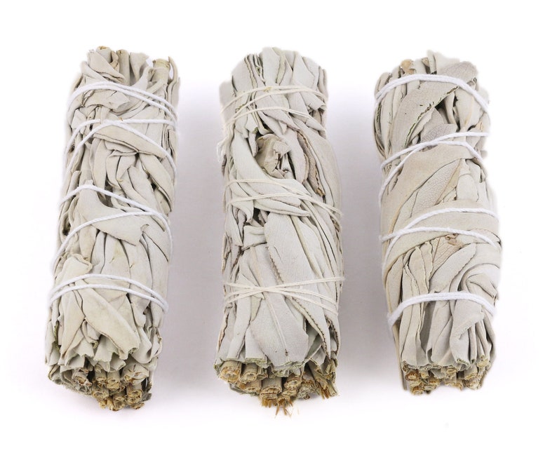 White Sage Smudge Sticks 4"