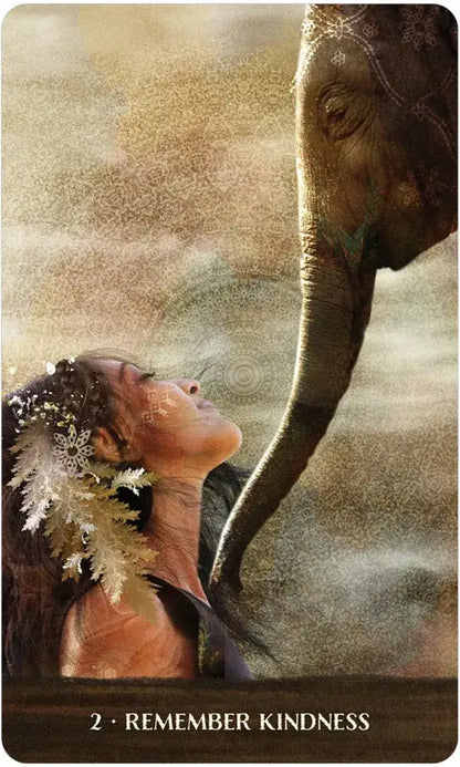 Wild Woman Rising Oracle Deck