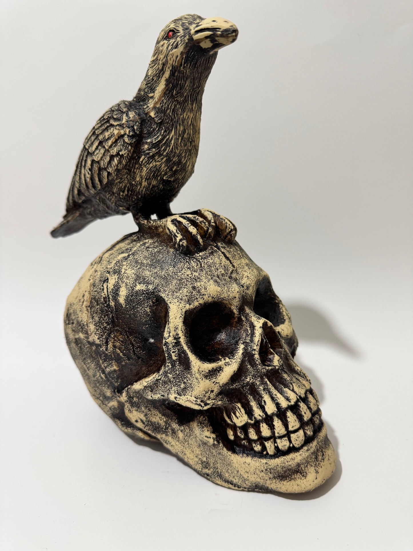 Skull with crow