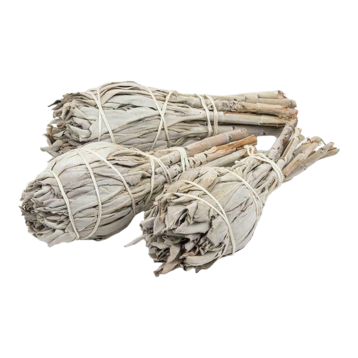 White Sage Smudge Torch 4"