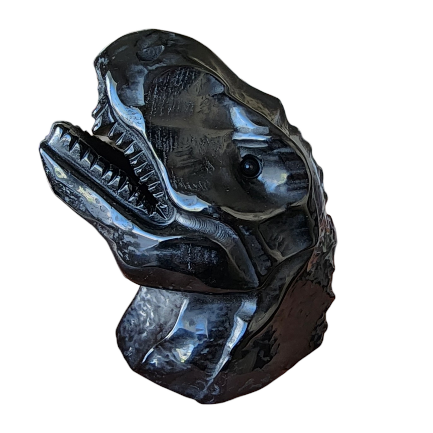 T-Rex Black Obsidian Head