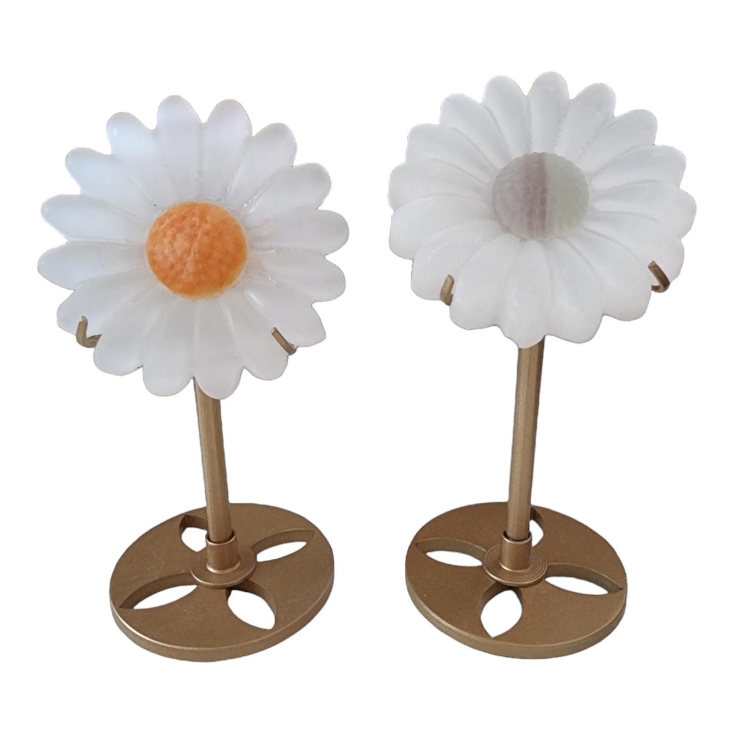 Selenite Daisies on Stands