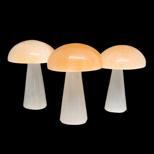 Natural Selenite Crystal Mushroom