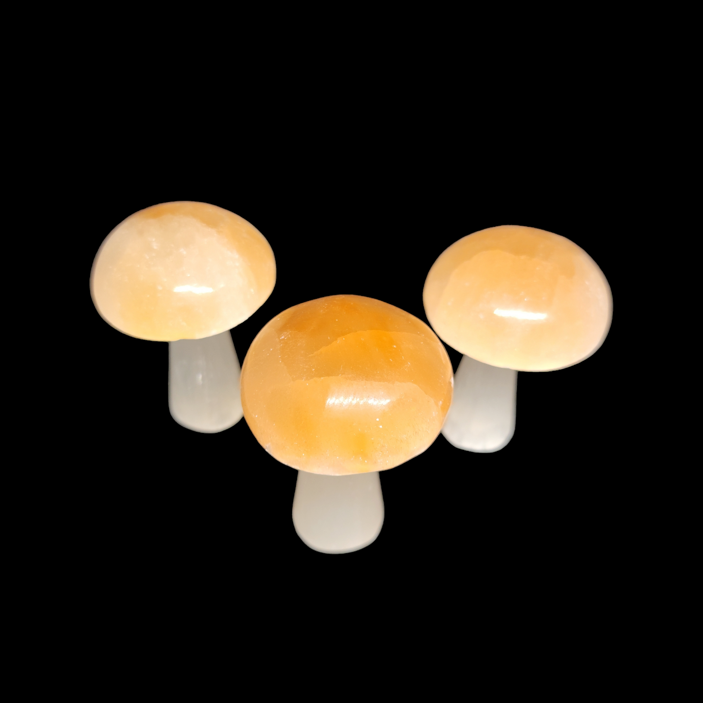 Natural Selenite Crystal Mushroom