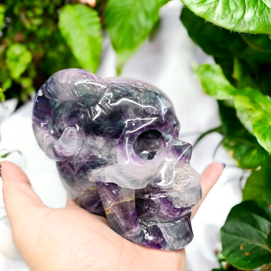 3.3lb Rainbow Fluorite Human Ram Horned Skull | Natural Crystal Carved & Polished