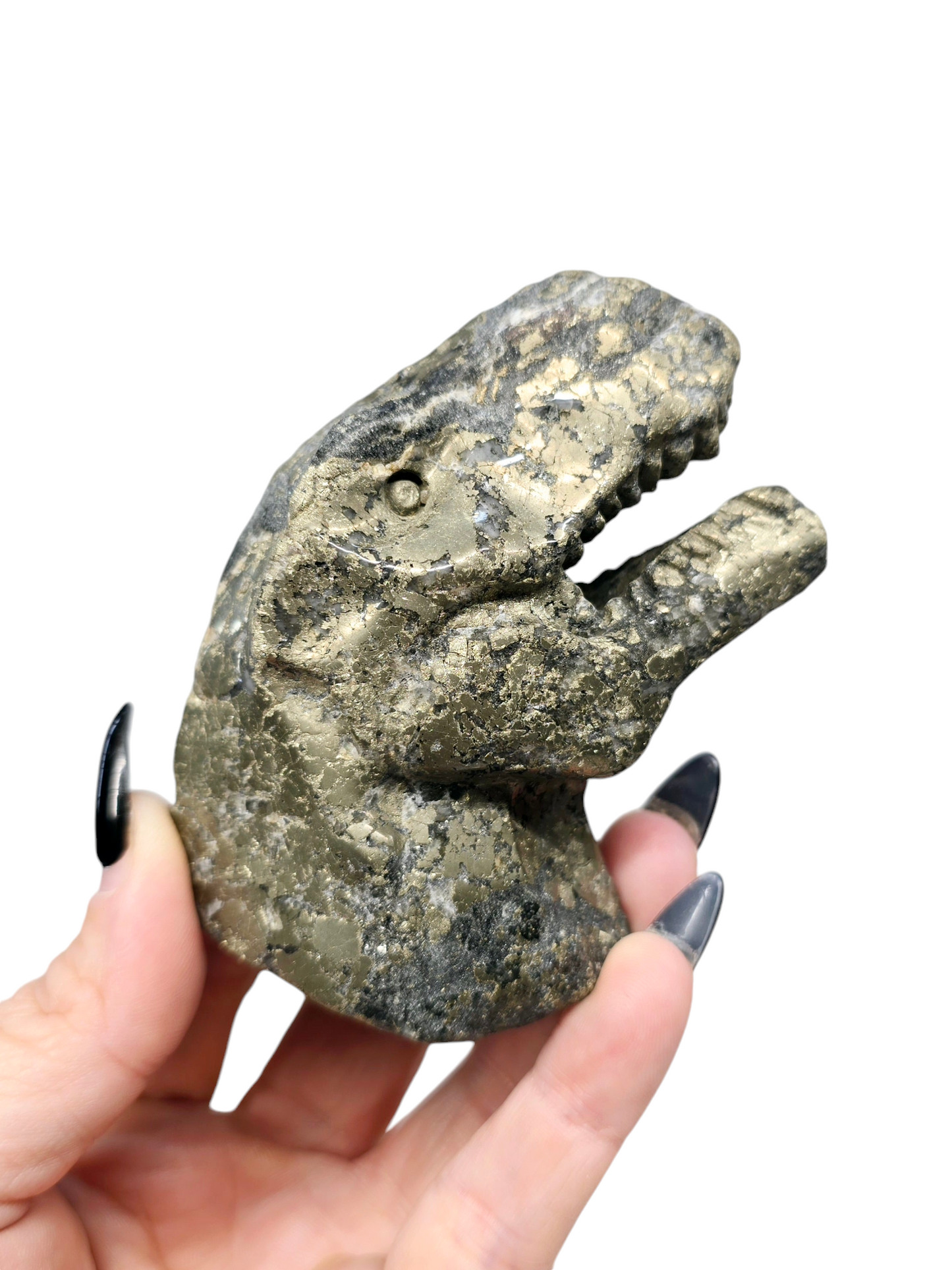 Pyrite T-Rex Dinosaur Head | Fool's Gold