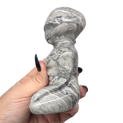 1.5lb Picasso Grey Jasper Meditating Alien | Natural Crystal Carved & Polished Stone