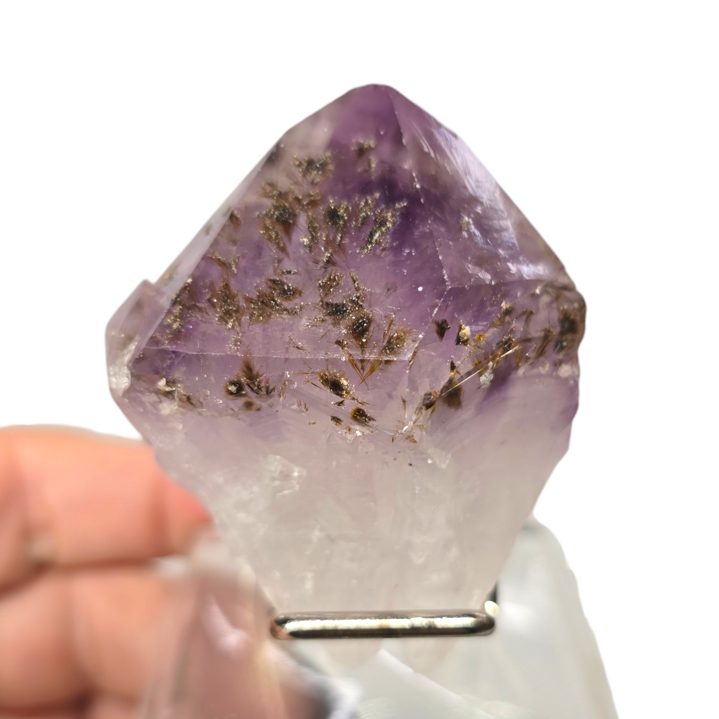 Rare Amethyst Raw Specimen with Rutile Hairs Tooth Root| Natural Crystal Stone