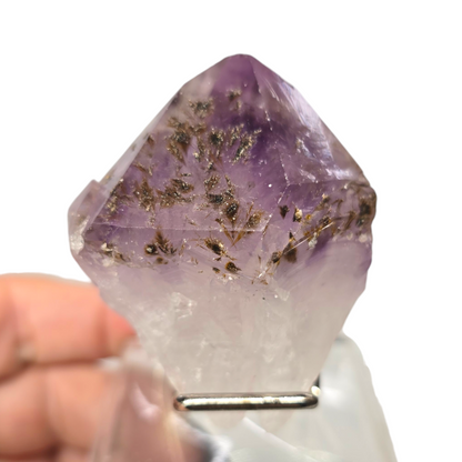 Rare Amethyst Raw Specimen with Rutile Hairs Tooth Root| Natural Crystal Stone