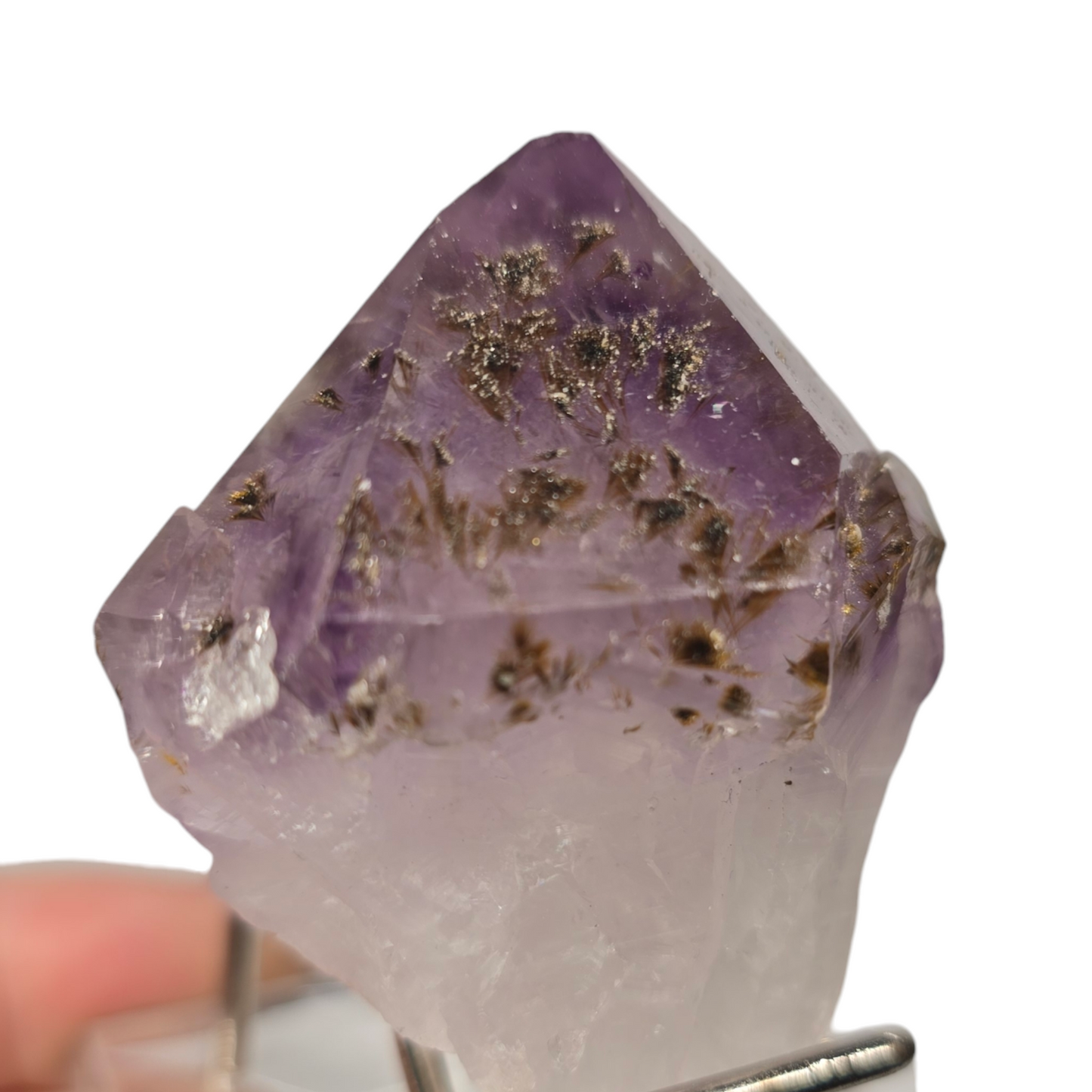 Rare Amethyst Raw Specimen with Rutile Hairs Tooth Root| Natural Crystal Stone
