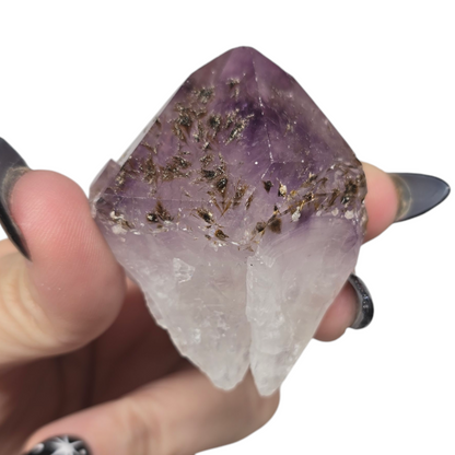 Rare Amethyst Raw Specimen with Rutile Hairs Tooth Root| Natural Crystal Stone