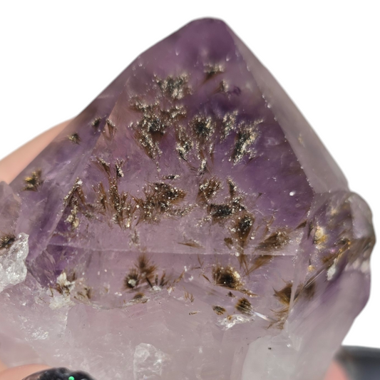 Rare Amethyst Raw Specimen with Rutile Hairs Tooth Root| Natural Crystal Stone