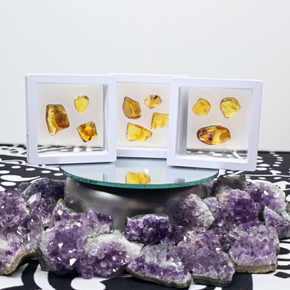 Amber Tumbled Tree Resin | Natural Fossilized and Polished Stone | Unique Metaphysical Witchy Gift