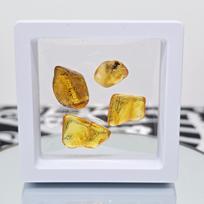 Amber Tumbled Tree Resin | Natural Fossilized and Polished Stone | Unique Metaphysical Witchy Gift