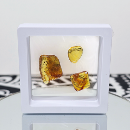 Amber Tumbled Tree Resin | Natural Fossilized and Polished Stone | Unique Metaphysical Witchy Gift