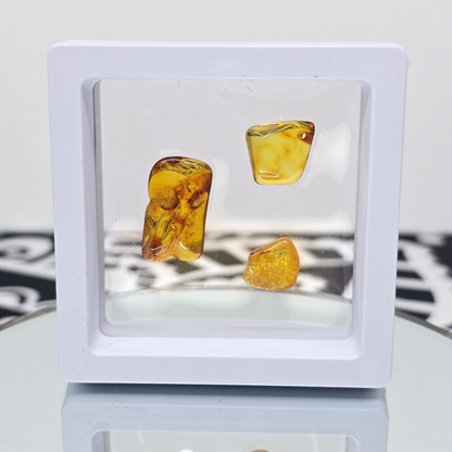 Amber Tumbled Tree Resin | Natural Fossilized and Polished Stone | Unique Metaphysical Witchy Gift