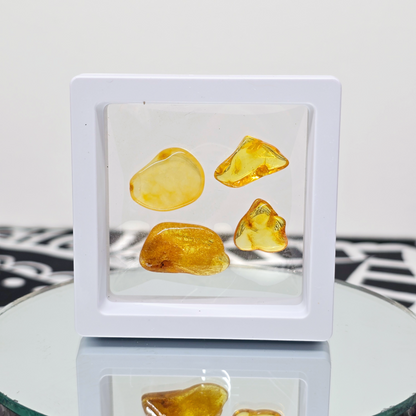 Amber Tumbled Tree Resin | Natural Fossilized and Polished Stone | Unique Metaphysical Witchy Gift