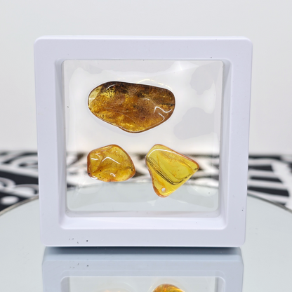 Amber Tumbled Tree Resin | Natural Fossilized and Polished Stone | Unique Metaphysical Witchy Gift