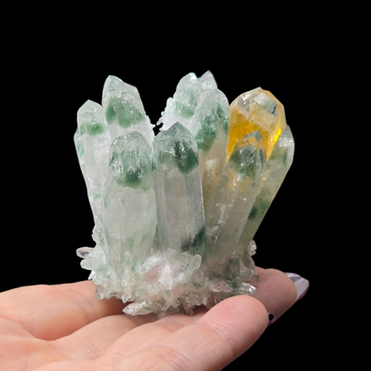 7.7oz Green Cactus Quartz Cluster Druzy | Natural Crystal & Stone Specimen | Unique Metaphysical Healing Witchy Gift