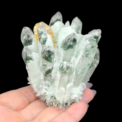 9oz Green Cactus Quartz Cluster Druzy | Natural Crystal & Stone Specimen | Unique Metaphysical Healing Witchy Gift