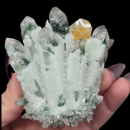 9oz Green Cactus Quartz Cluster Druzy | Natural Crystal & Stone Specimen | Unique Metaphysical Healing Witchy Gift