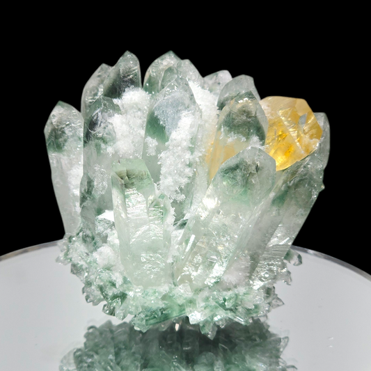 9.8oz Green Cactus Quartz Cluster Druzy | Natural Crystal & Stone Specimen | Unique Metaphysical Healing Witchy Gift