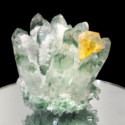 9.8oz Green Cactus Quartz Cluster Druzy | Natural Crystal & Stone Specimen | Unique Metaphysical Healing Witchy Gift