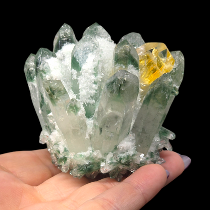 9.8oz Green Cactus Quartz Cluster Druzy | Natural Crystal & Stone Specimen | Unique Metaphysical Healing Witchy Gift