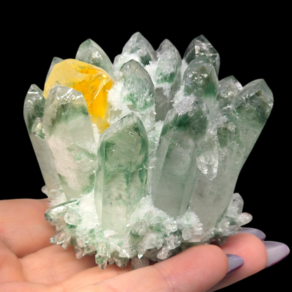 9.8oz Green Cactus Quartz Cluster Druzy | Natural Crystal & Stone Specimen | Unique Metaphysical Healing Witchy Gift