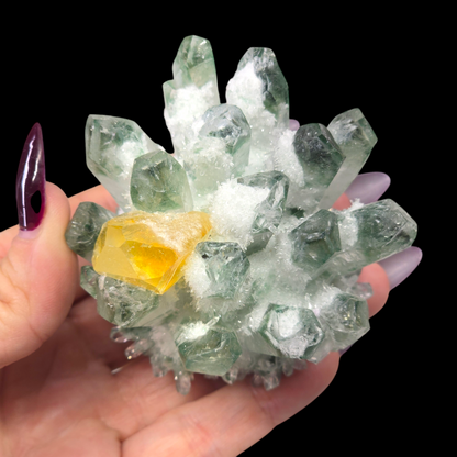 9.8oz Green Cactus Quartz Cluster Druzy | Natural Crystal & Stone Specimen | Unique Metaphysical Healing Witchy Gift