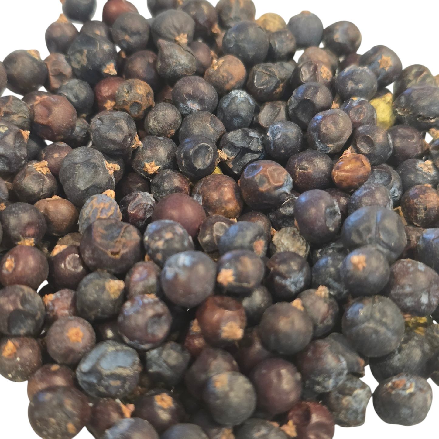 Juniper Berry, Organic