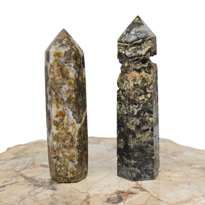 Ocean Jasper Points