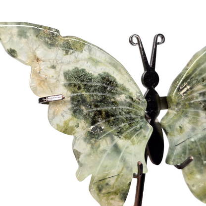 Enchanting Moss Agate with Pyrite Butterfly Crystal Wings