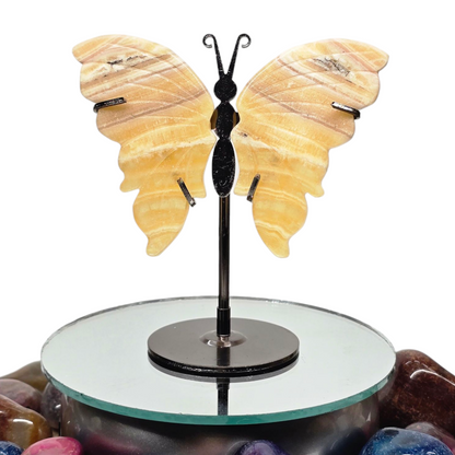 Enchanting Banded Yellow Calcite Butterfly Crystal Wings